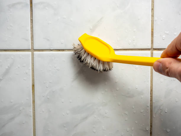 Office Mold Removal Services in Ford City, CA