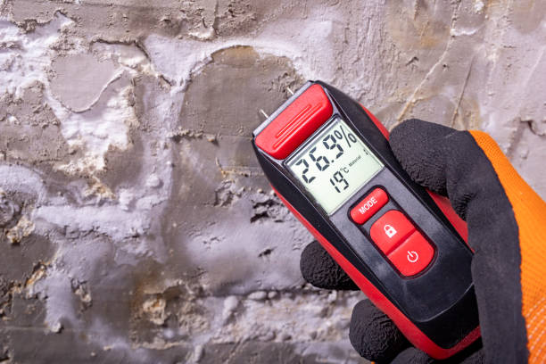 Best Attic Mold Removal  in Ford City, CA