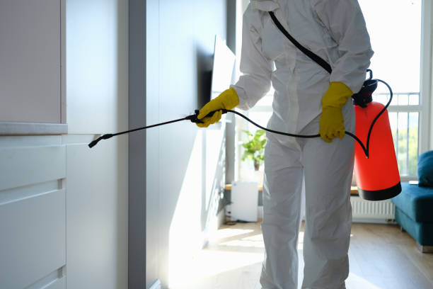 Crawl Space Mold Removal in Ford City, CA