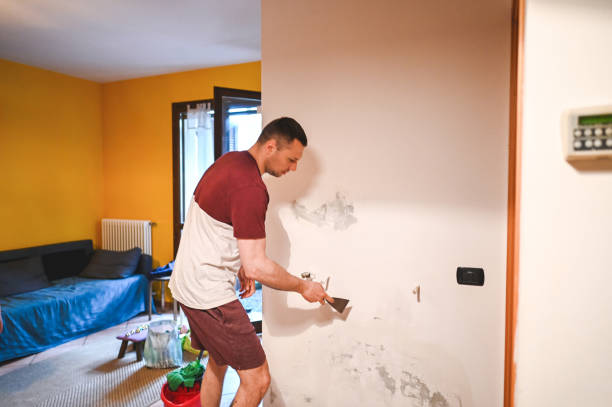 Mold Testing and Removal in Ford City, CA